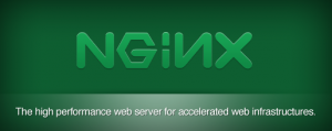 managed-nginx-hosting